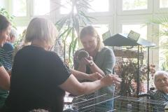 IMG_20250512_112519-Copy
