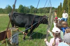 IMG_20250527_102041-Copy