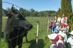 IMG_20250527_102106-Copy
