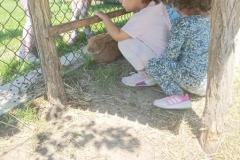IMG_20250527_111528-Copy
