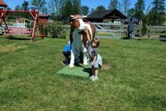 Messenger_creation_1067C017-8F07-4078-902E-CB8F937A350D-Copy