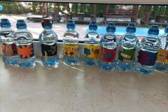 IMG_20250430_093532-Copy
